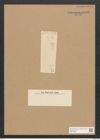 Homoeocladia sp. (de-Toni-Nr.: Genus 48) Zeichnungen Sammlung Grunow Nr. 4425 (NHMW-BOT-W0372582)